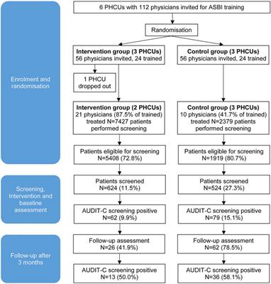 Alcohol Screening and Brief Intervention in Primary Health Care in Kazakhstan—Results of a Cluster Randomised Pilot Study